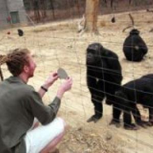 Profile picture for user DEZECACHE G